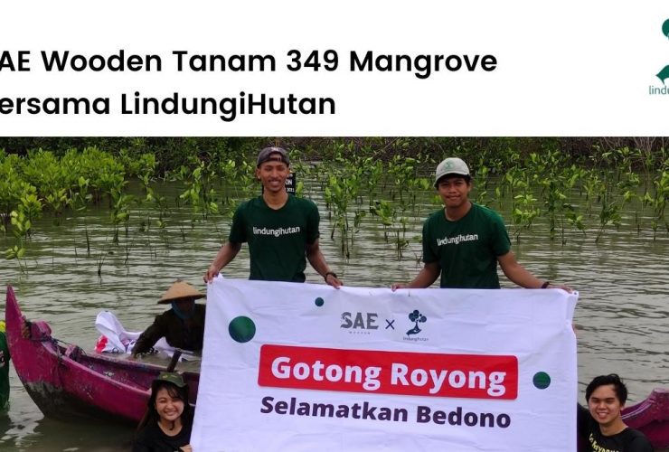SAE Wooden berkolaborasi dengan LindungiHutan untuk menanam ratusan mangrove di Demak, Jawa Tengah.