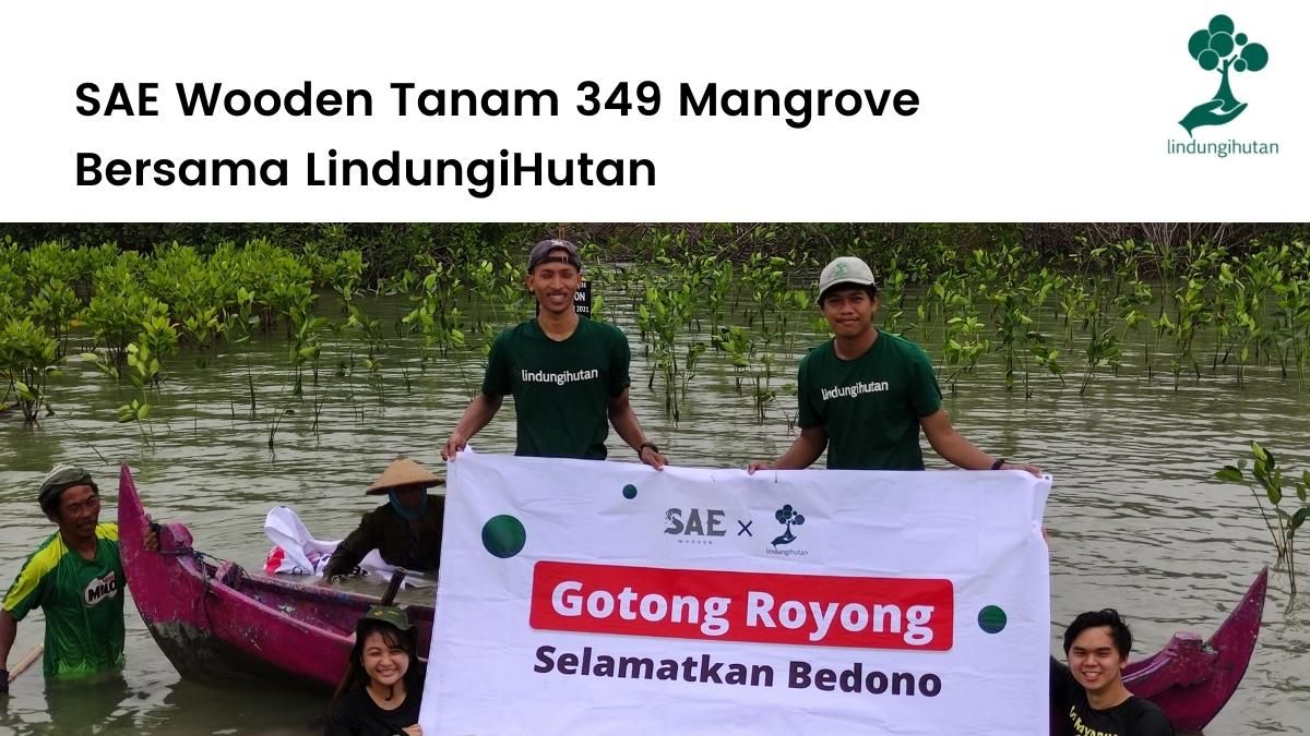 SAE Wooden berkolaborasi dengan LindungiHutan untuk menanam ratusan mangrove di Demak, Jawa Tengah.