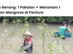 Sisa Benang dan LindungiHutan berkolaborasi untuk menanam ratusan mangrove.