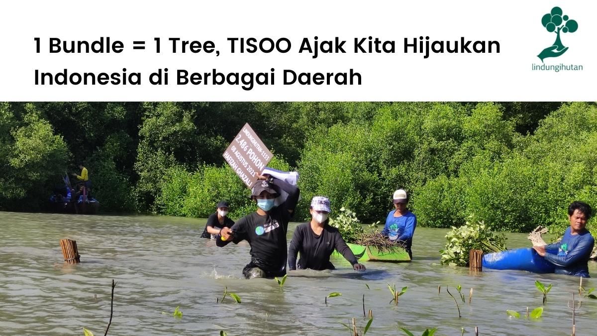 TISOO dan LindungiHutan berkolaborasi dengan skema 1 bundle produk terjual sama dengan menanam 1 pohon.