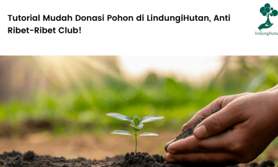 Tutorial Mudah Donasi Pohon di LindungiHutan, Anti Ribet-Ribet Club!