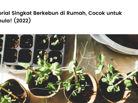 Tutorial Singkat Berkebun di Rumah, Cocok untuk Pemula! (2022).