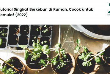 Tutorial Singkat Berkebun di Rumah, Cocok untuk Pemula! (2022).