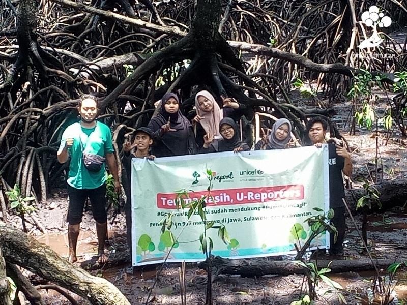 Kegiatan penanaman mangrove U-Report Indonesia dan LindungiHutan di Bontang Mangrove Edupark.