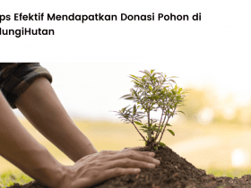 tips mendapatkan donasi pohon di LindungiHutan.