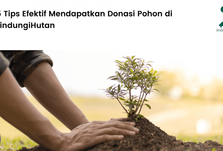 tips mendapatkan donasi pohon di LindungiHutan.