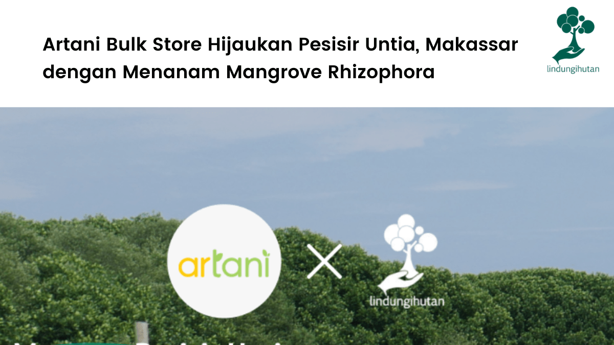 LindungiHutan dan Artani Bulk Store berkolaborasi untuk menanam mangrove di pesisir Untia, kota Makassar.
