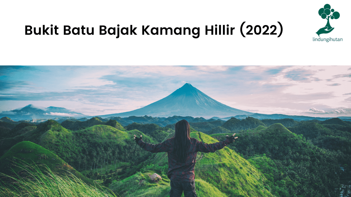 Bukit Batu Bajak Kamang Hillir (2022)