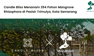 Candle Bliss dan LindungiHutan bekerjasama untuk menjalankan program penghijauan di pesisir Kota Semarang.