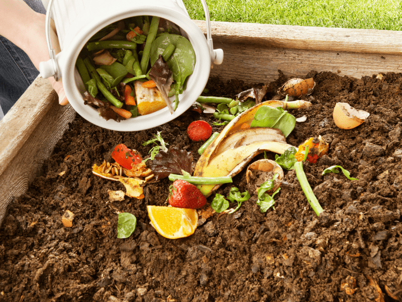 Cara Mengatasi Lahan kritis bisa dengan pupuk kompos.