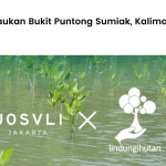 Josvli dan LindungiHutan berkolaborasi untuk menjalankan program penghijauan di kab. Landak, Kalimantan Barat.