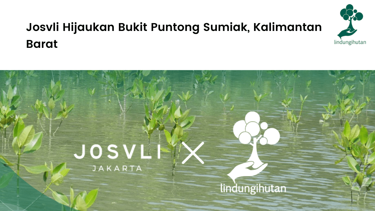 Josvli dan LindungiHutan berkolaborasi untuk menjalankan program penghijauan di kab. Landak, Kalimantan Barat.