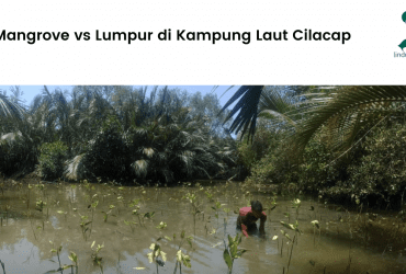 Mangrove vs Lumpur di Kampung Laut Cilacap.
