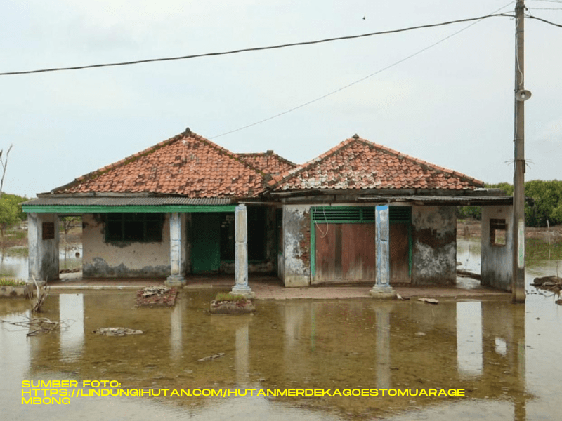 Foto salah satu rumah yang terdampak abrasi di Muaragembong.