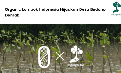 Organic Lombok Indonesia Hijaukan Desa Bedono Demak.