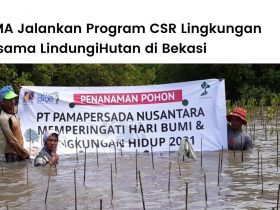 PT Pamapersada Nusantara (PAMA) menggandeng LindungiHutan untuk implementasi program CSR lingkungan di jadetabek.