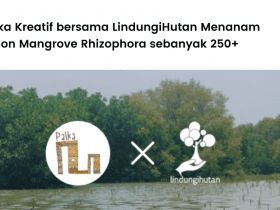 Palka Kreatif dan LindungiHutan berkolaborasi untuk menanam ratusan mangrove di Semarang.