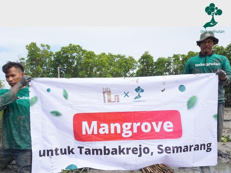 Banner penanaman mangrove PALKA kreatif di Tambakrejo, Kota Semarang.