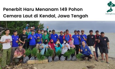 Penerbit Haru dan LindungiHutan berkolaborasi untuk menanam 149 pohon cemara laut di Jawa Tengah.