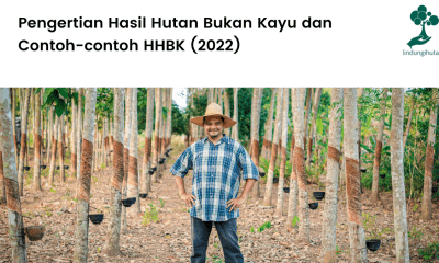 Pengertian Hasil Hutan Bukan Kayu dan Contoh-contoh HHBK.
