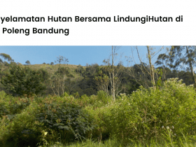 Penyelamatan Hutan Bersama LindungiHutan di Awi Poleng Bandung