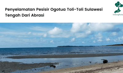 Penyelamatan Pesisir Ogotua Toli-Toli Sulawesi Tengah