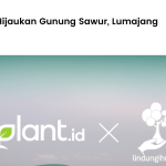 iPlant.id Hijaukan Gunung Sawur, Lumajang.