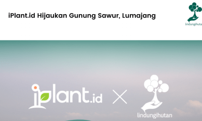 iPlant.id Hijaukan Gunung Sawur, Lumajang.