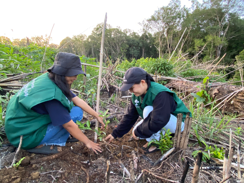 Mitra penggerak di Landak dan Relawan LindungiHutan sedang menanam bibit pohon hasil kerjasama BLZR.ID dan LindungiHutan.