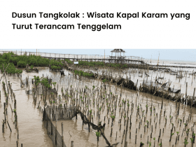 Lokasi penanaman di Dusun Tangkolak