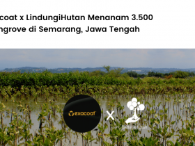 Exacoat x LindungiHutan Menanam 3.500 Mangrove di Semarang, Jawa Tengah.