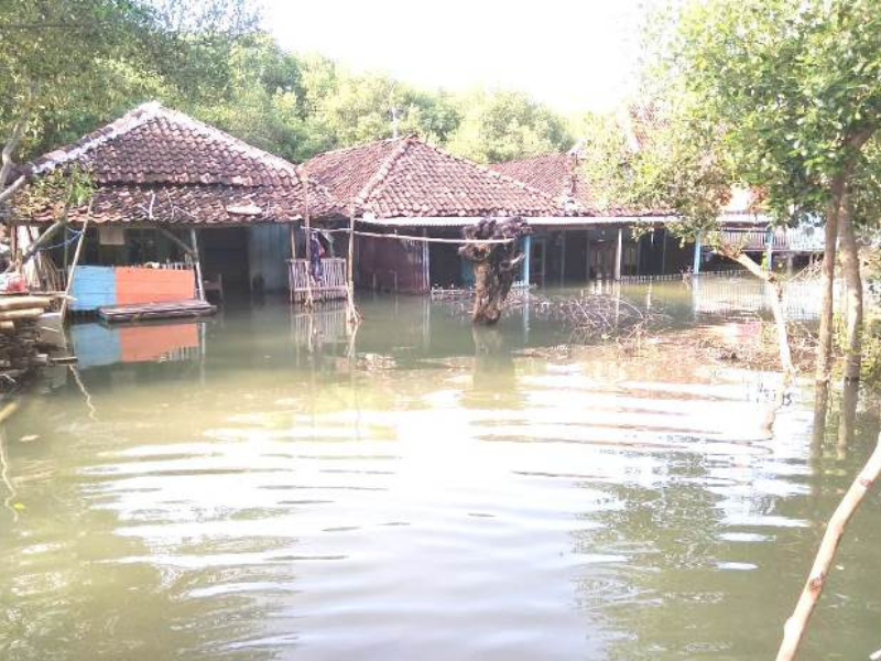 Foto beberapa rumah di Desa Bedono Kabupaten Demak yang tenggelam.