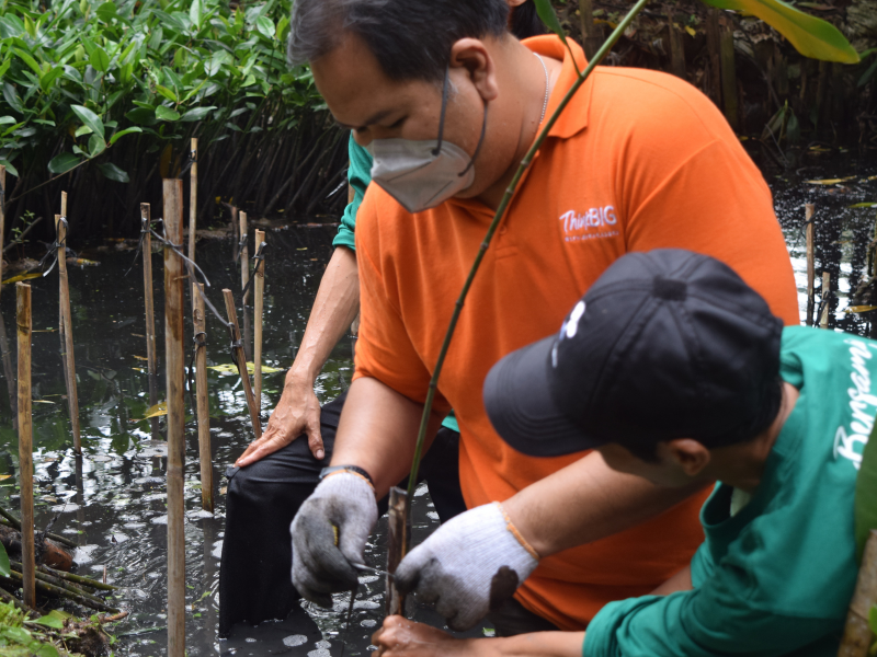 Salah satu petinggi Mirae Asset Sekuritas ikut menanam mangrove di Jakarta.