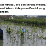 Lokasi penanaman mangrove LindungiHutan di Pantai Kartika Jaya Kendal.