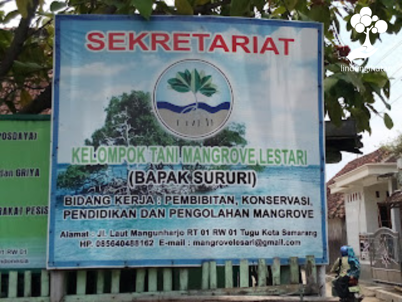 Banner sekretariat Kelompok Tani Mangrove Lestari , Mangunharjo Semarang.
