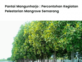 Mengenal lokasi penanaman LindungiHutan di Pantai Mangunharjo, Semarang.