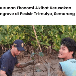 Lokasi penanaman LindungiHutan di Pesisir Trimulyo Semarang.