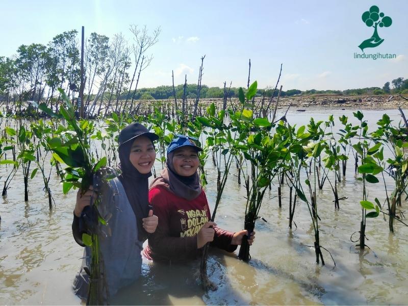 Peserta gabung aksi berfoto dengan bibit mangrove di lokasi kegiatan.