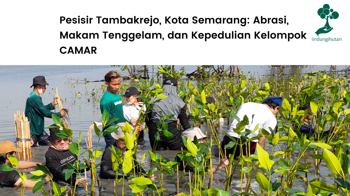 lokasi penanaman pohon LindungiHutan di Pesisir Tambakrejo, Kota Semarang.