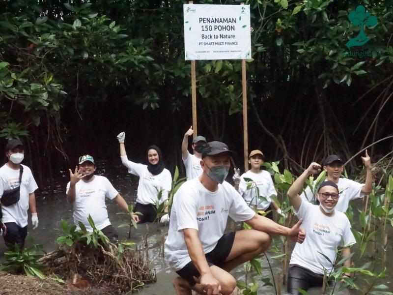 Karyawan Smart Finance ikut menanam bibit mangrove di hutan mangrove PIK.