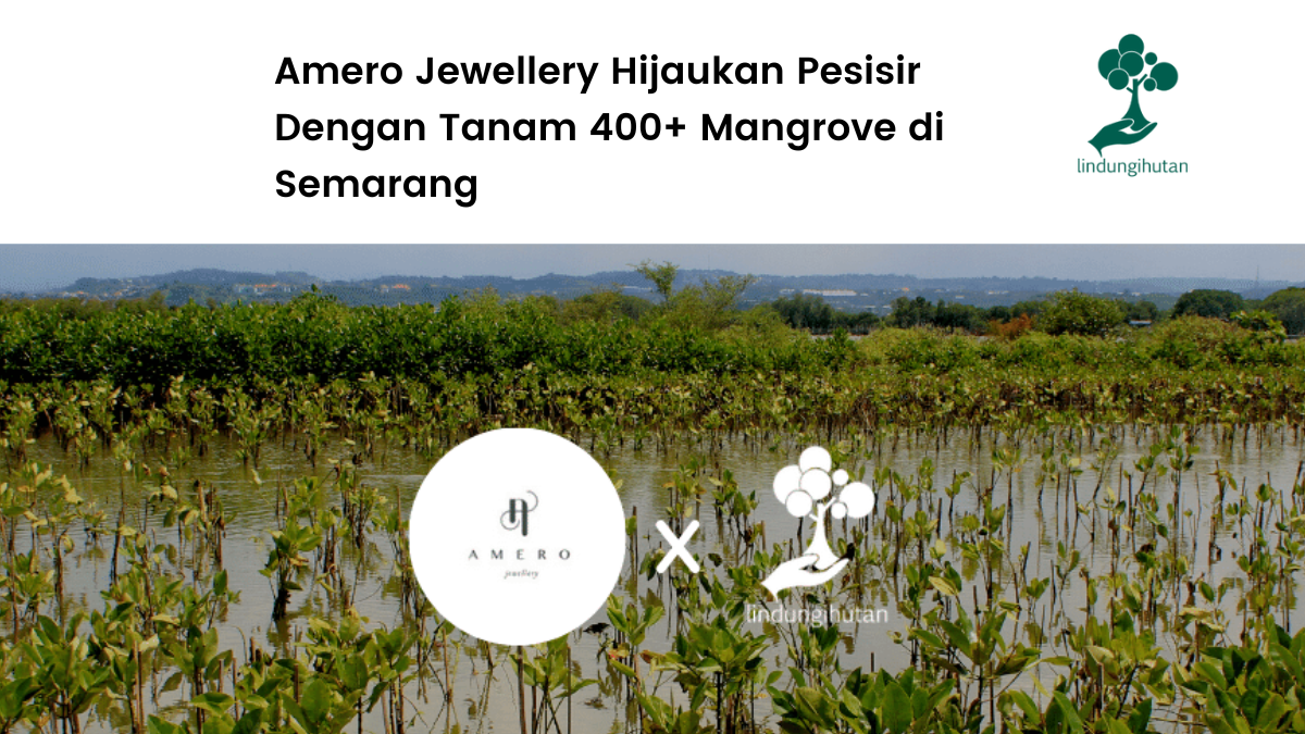 Amero Jewellery hijaukan pesisir Tambakrejo, Semarang.