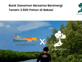 Kampanye alam Bank Danamon bersama LindungiHutan di Pantai Bekasi.