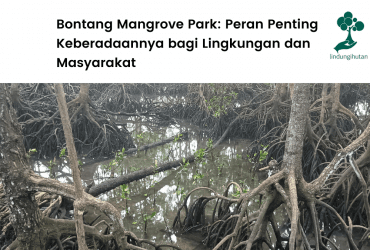 Mengenal Bontang Mangrove Park.