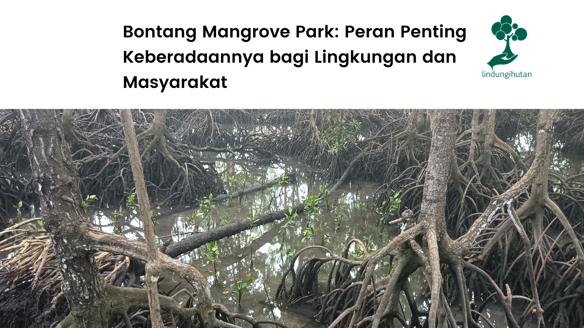Mengenal Bontang Mangrove Park.