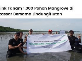 Citilink menanam ribuan mangrove di Makassar.