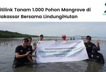 Citilink menanam ribuan mangrove di Makassar.