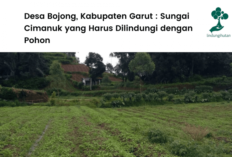 Desa Bojong, Kabupaten Garut _ Sungai Cimanuk yang Harus Dilindungi dengan Pohon.