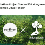 Earthern Project menanam mangrove di Demak.