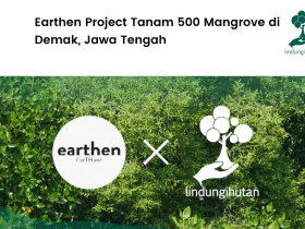 Earthern Project menanam mangrove di Demak.