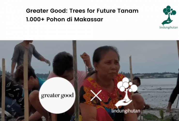 Greater Good tanam mangrove di Makassar.
